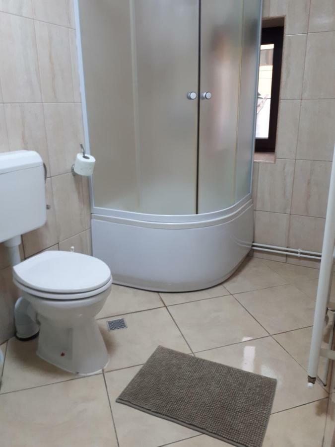 Apartament Victoria 1 Câmpina Zewnętrze zdjęcie